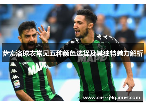 萨索洛球衣常见五种颜色选择及其独特魅力解析