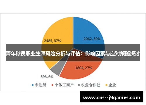 青年球员职业生涯风险分析与评估：影响因素与应对策略探讨
