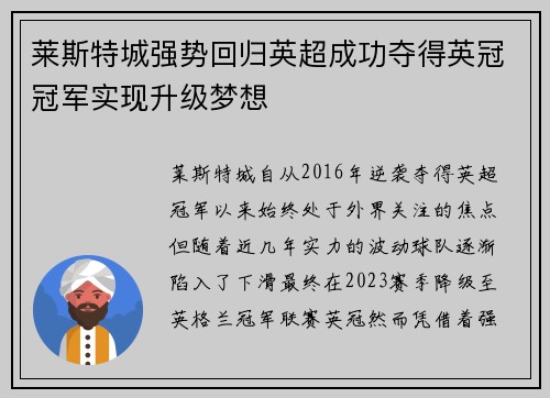 莱斯特城强势回归英超成功夺得英冠冠军实现升级梦想