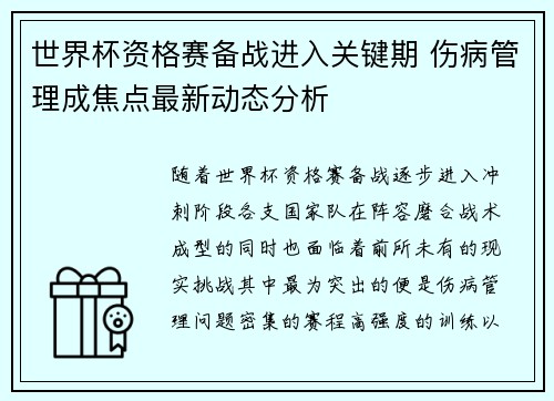 世界杯资格赛备战进入关键期 伤病管理成焦点最新动态分析